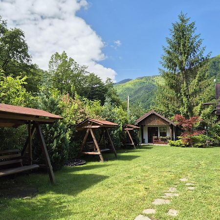Pensiunea Dumbravita Hotel Rîu de Mori Екстериор снимка