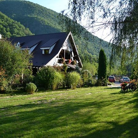 Pensiunea Dumbravita Hotel Rîu de Mori Екстериор снимка