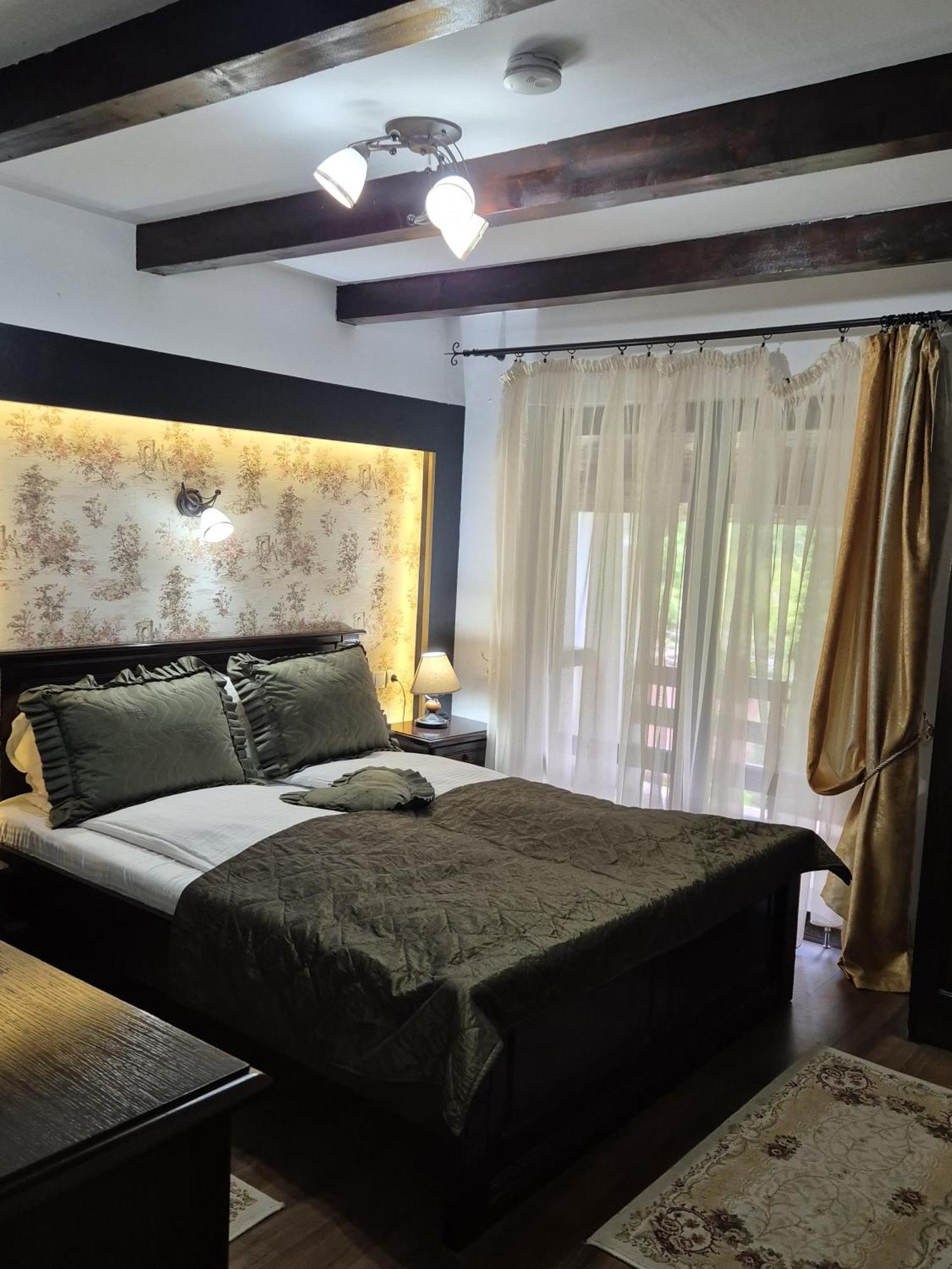 Pensiunea Dumbravita Hotel Rîu de Mori Екстериор снимка