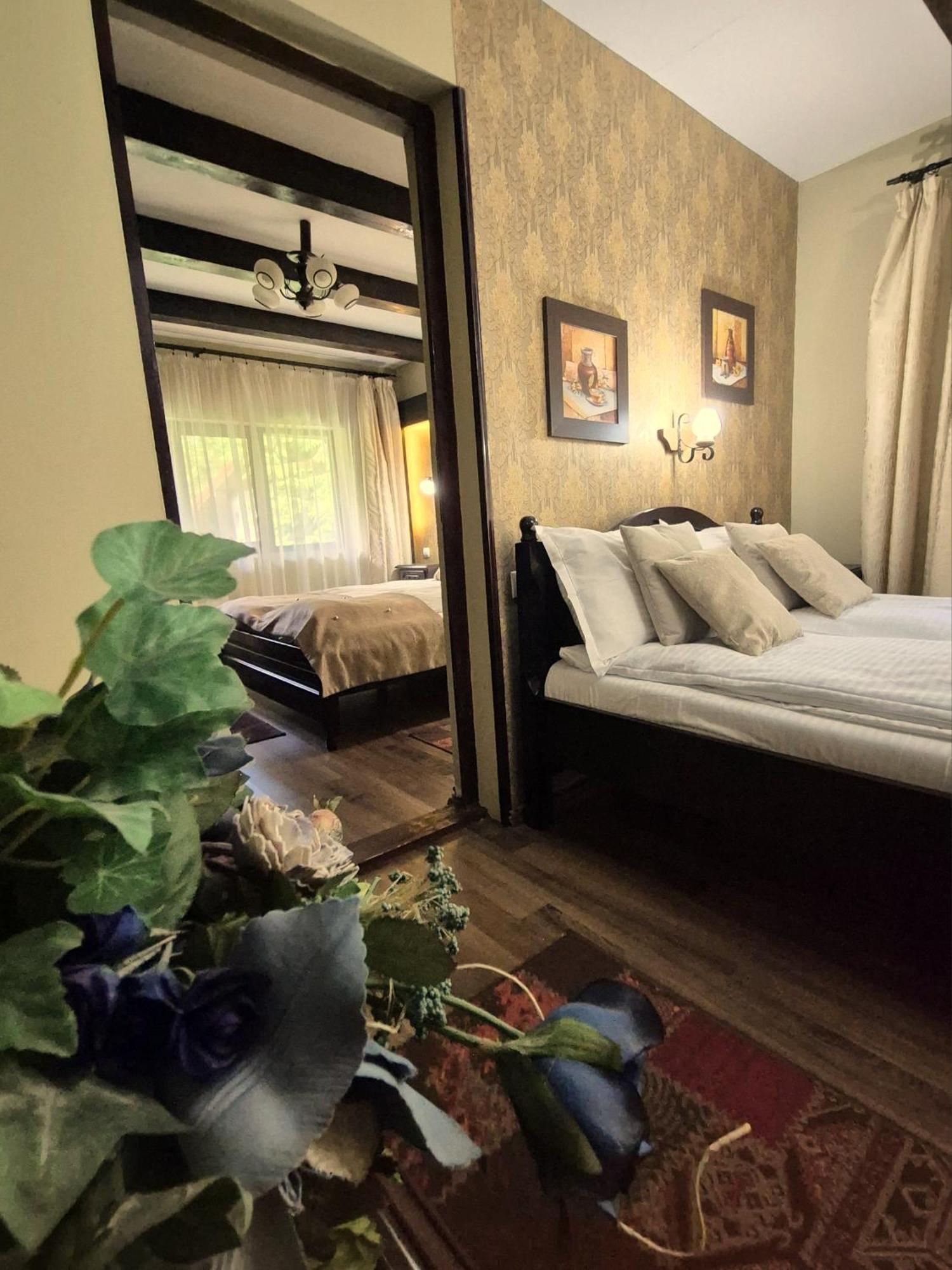 Pensiunea Dumbravita Hotel Rîu de Mori Екстериор снимка