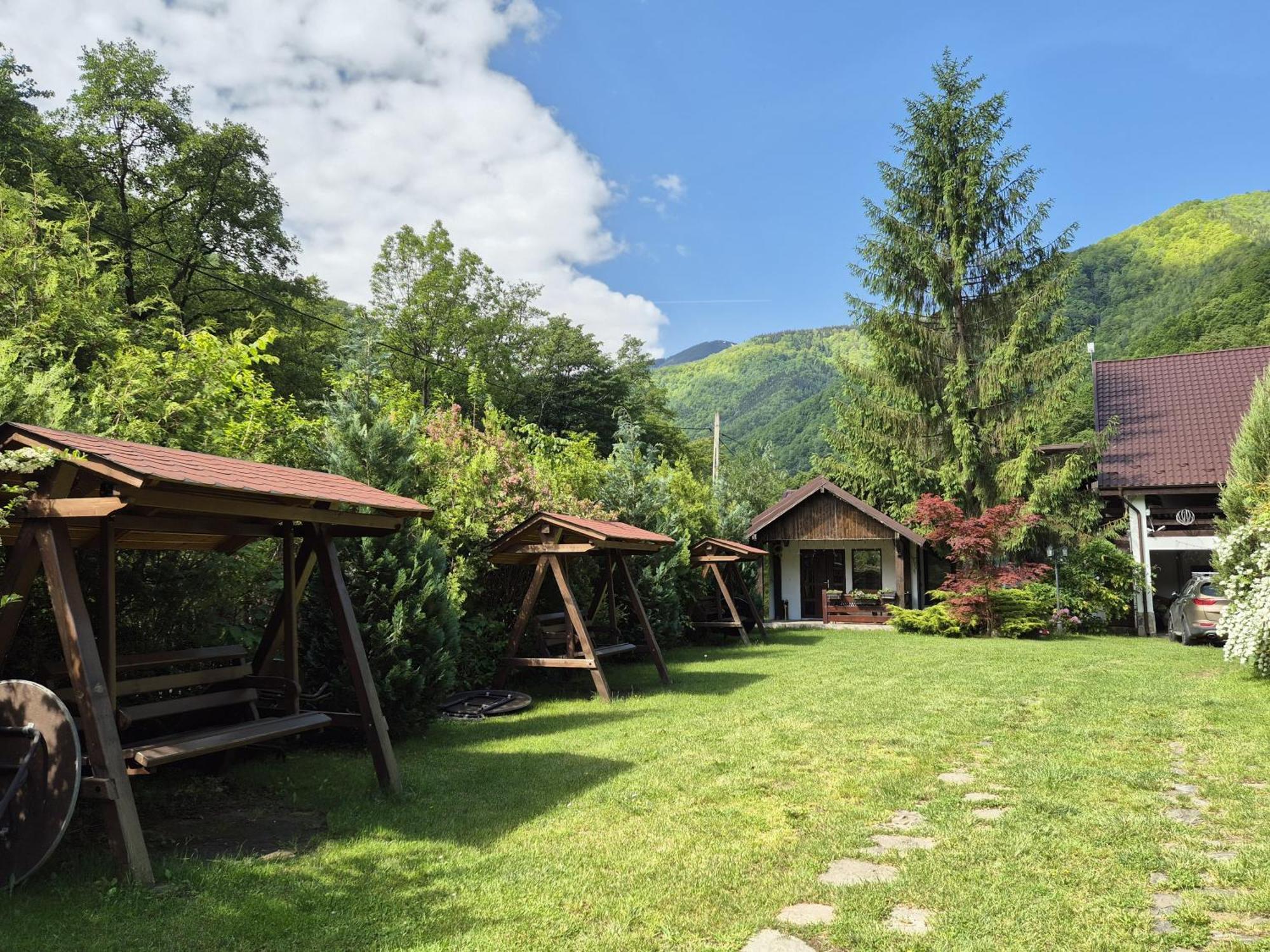 Pensiunea Dumbravita Hotel Rîu de Mori Екстериор снимка