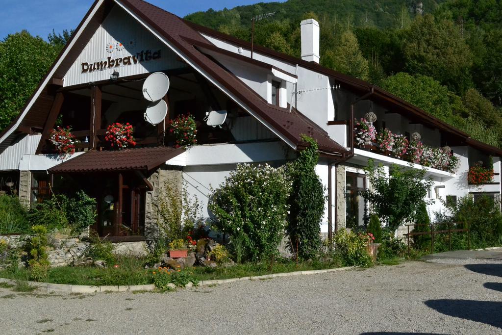 Pensiunea Dumbravita Hotel Rîu de Mori Екстериор снимка