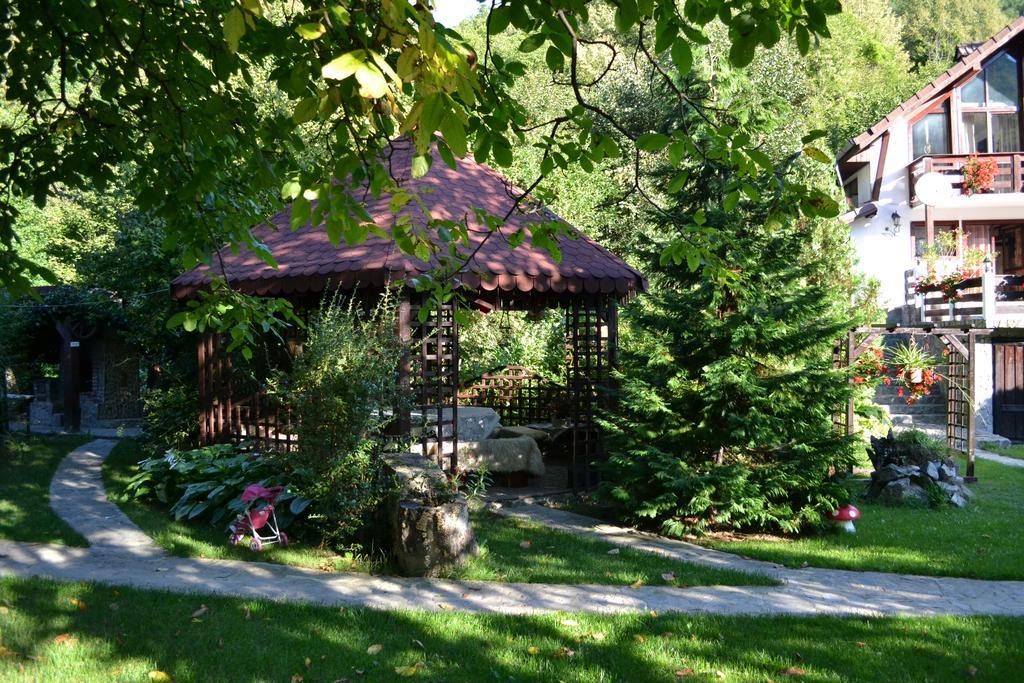 Pensiunea Dumbravita Hotel Rîu de Mori Екстериор снимка