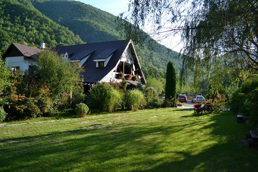 Pensiunea Dumbravita Hotel Rîu de Mori Екстериор снимка