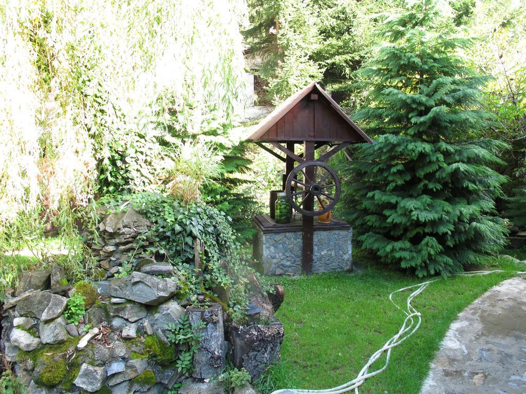 Pensiunea Dumbravita Hotel Rîu de Mori Екстериор снимка